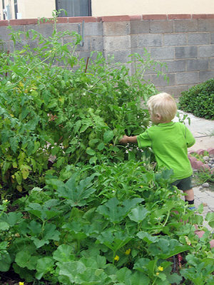 Simon uses camoflauge to raid the garden