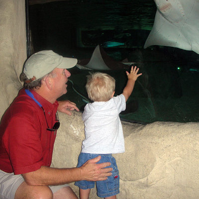 At the aquarium