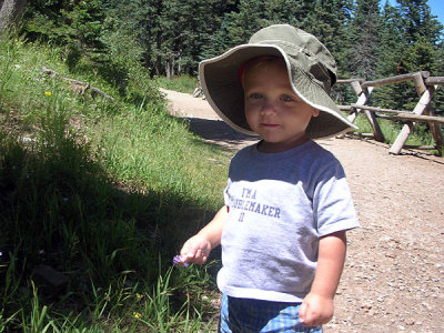 Hiking the Sandias