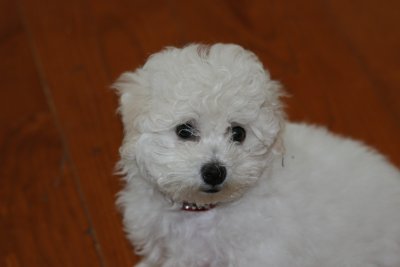 IMG_3266.JPG