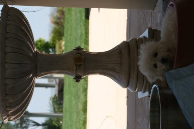 IMG_3641.JPG
