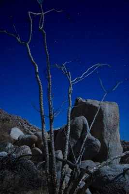 IMG_6830