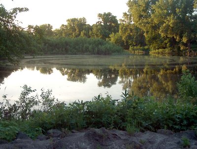 Circles on the Water-Shirley