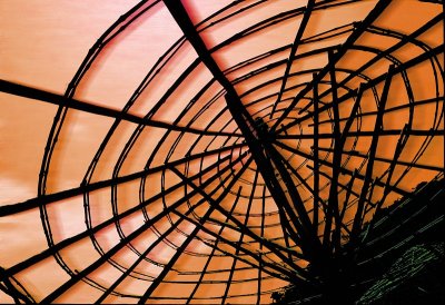 The Web by Paul Wear