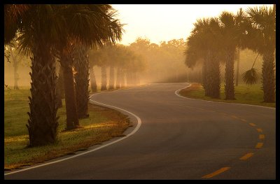 Morning Mist  by  Brian H Kelly
