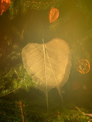 + Heart of the Season by Flick Merauld