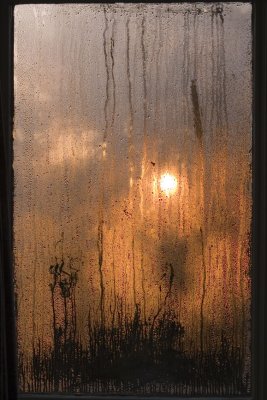 2nd - Morning condensation by earlneath