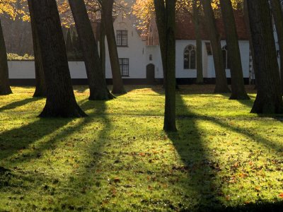 Beguinage, by Alistair