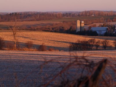 Plainville Farm by Stephen Della Casa