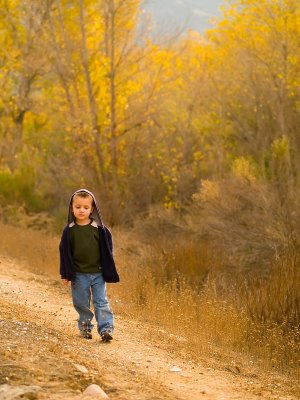 Quiet Fall Walk     by Robert Manzo