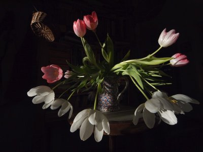 Dying Tulips and Wicker Basket by Jono