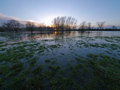 River Thame in Flood 2 by Bruce Clarke