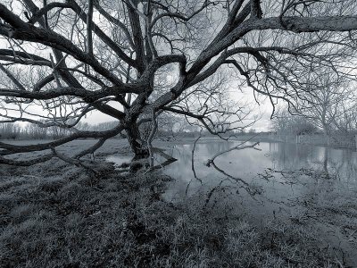 1st  - c48 Below the Belt - River Thame in Flood 3 by Bruce Clarke