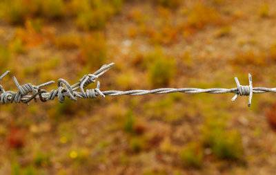 Barbed wire strand by Dennis