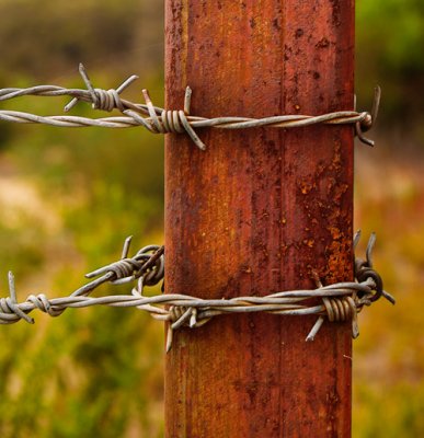 Double barbed wire by Dennis
