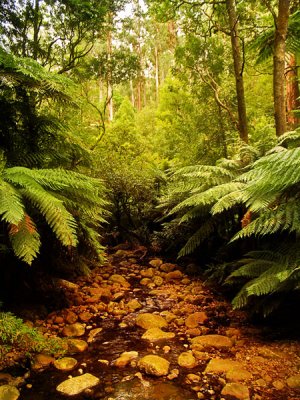 Badger Creek by Dennis