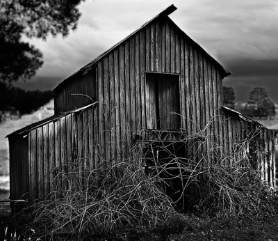 Old barn by Dennis