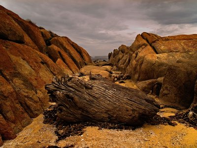 Salmon rocks & driftwood by Dennis