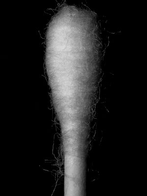 g6/07/527607/3/76869091.v3ELKtmX.jpg