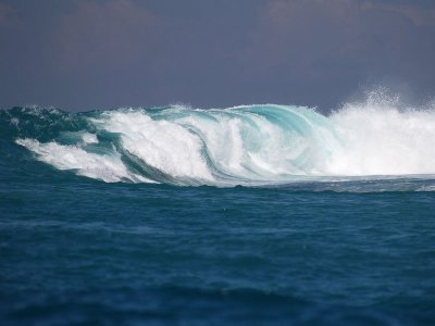 Wave by Geophoto