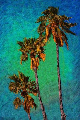 Tres Palms by Paul Wear