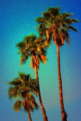 Tres Palms 02 by Paul Wear