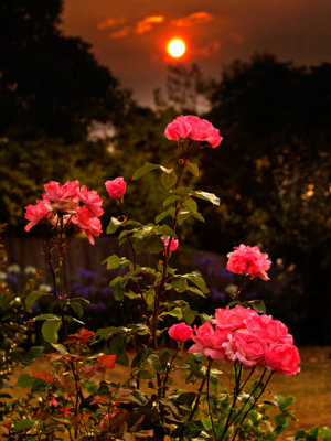 g6/07/527607/3/79407784.bqa1cssA.jpg