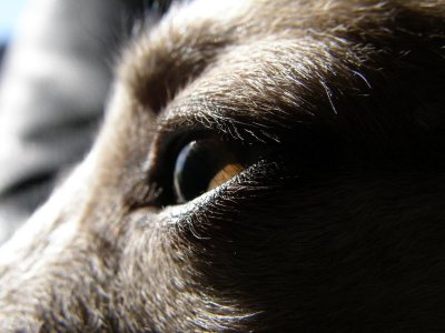 g6/07/527607/3/81014712.CL3a4ERW.jpg