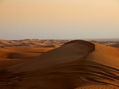 Through the Desert. by Lenzflair