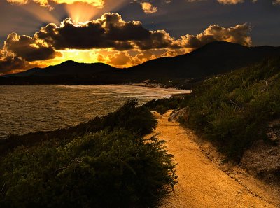 Golden Pathway to Squeaky Beach by Dennis