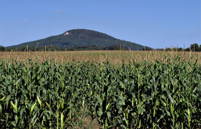 Mountain Blue and Corn Field by Drummer