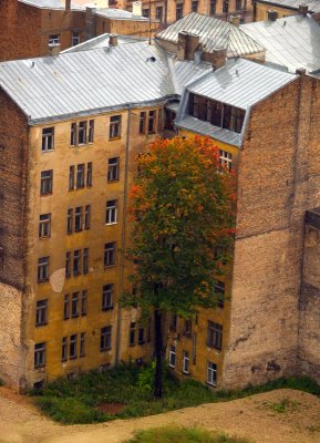 autumn in Riga