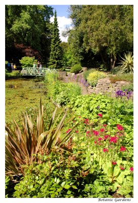 Botanic Gardens-1.jpg