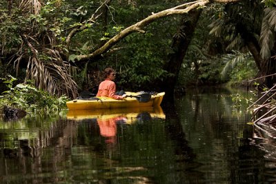 Jungle by kayak