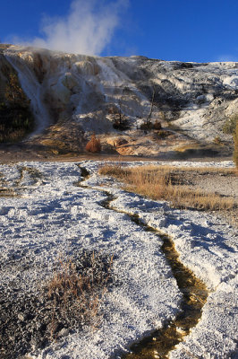 Mamoth Hot Springs - Lower Terraces