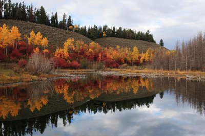 Reflection - Grand Teton NP