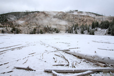 Roaring Mountain,YellowstoneNP