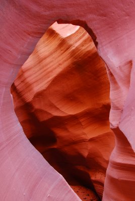 DSC_0194_small.jpg