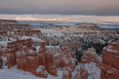 DSC_0104.jpg
