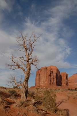 DSC_0325.JPG