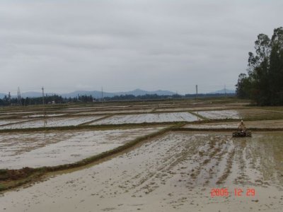 To NT_ DSC01303.jpg