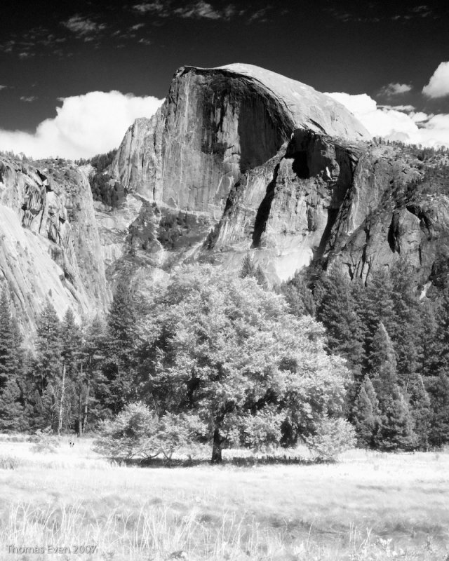 Yosemite_20070826 #7171 Infrared