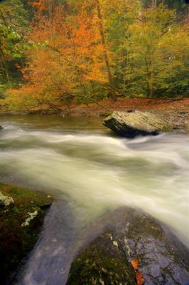 Little River Road #1