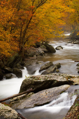 Little River Color #458