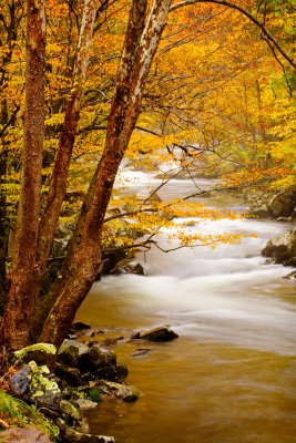 Little River #469