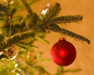 Merry Christmas 2006