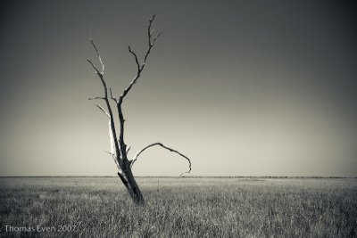 Grand Isle Landscape #27