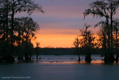 LakeMartin #018