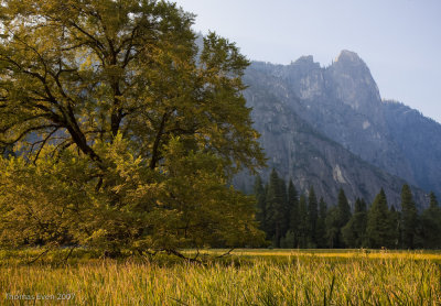 Yosemite_20070825_6599.jpg