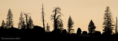 Yosemite_20070825_6894.jpg